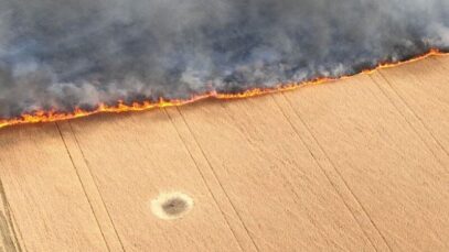 Difficulties and dangers of bringing the harvest in – Ukraine,