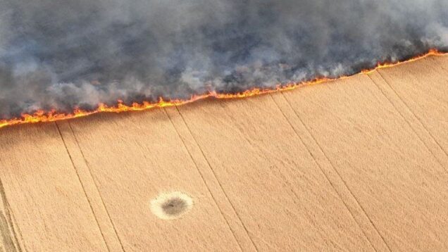 Difficulties and dangers of bringing the harvest in – Ukraine,