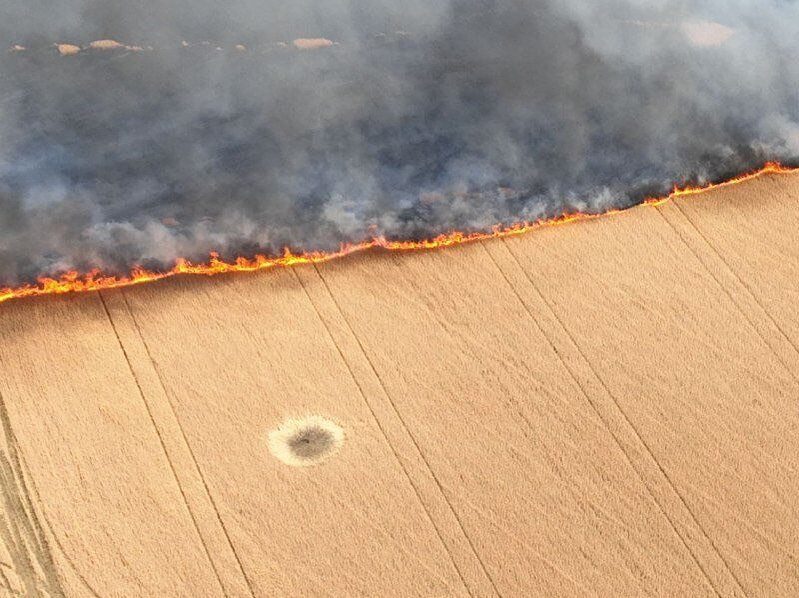 Difficulties and dangers of bringing the harvest in - Ukraine, summer 2022.