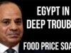 EGYPT in Deep Trouble – Bread Prices Quadruple as $8