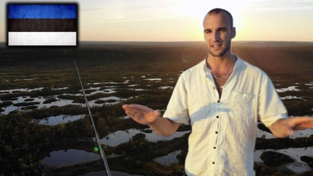 Estonian Bogs