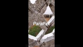 First Video of North Koreans Training in Russia — Geolocation