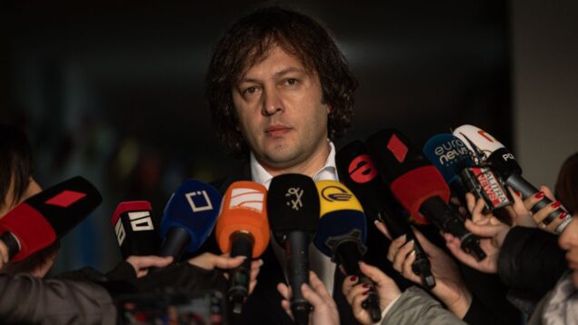 Georgia's government will be approved despite opposition's protests, PM says