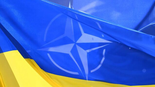 Germany 'skeptical' about Ukraine's NATO membership, Zelensky says