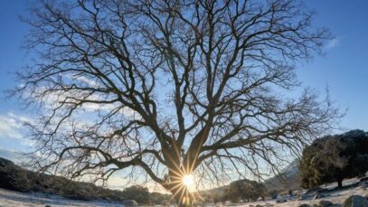 Happy Winter Solstice everyone! The darkest day of the year