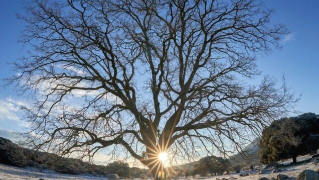 Happy Winter Solstice everyone! The darkest day of the year