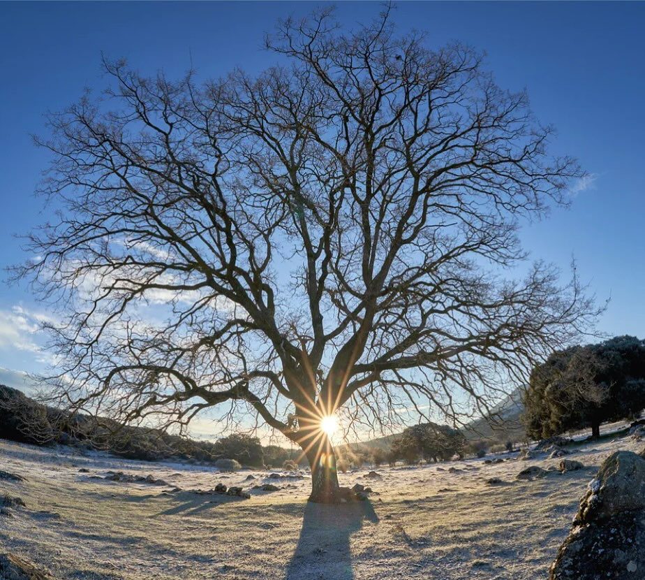 Happy Winter Solstice everyone!  The darkest day of the year is now behind us and here is to warmer