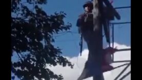 Kursk: Bridge at Karyzh Destroyed, Ukraine Captures Apanasovka and Agronom,