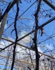 Shots in Kakhovka….