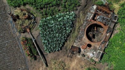 Realities in Ukraine these days. A woman planted cabbages around