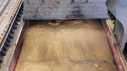 Russian missile strike damages grain ship in Ukraine, threatening global