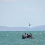 russian naval security barriers kerch bridge found floating near coast piece boom defenses drifting off