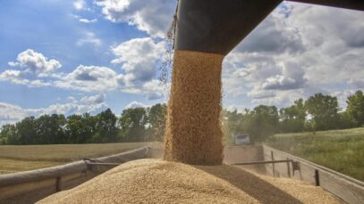 Russians stole 180 thousand tons of Ukrainian grain through Mariupol