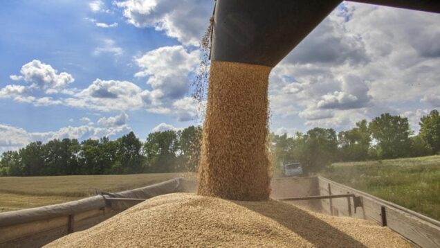 Russians stole 180 thousand tons of Ukrainian grain through Mariupol