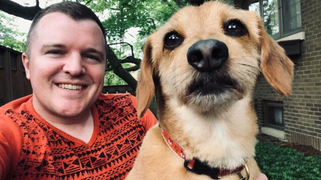 This is actually starting to feel like a normal summer!