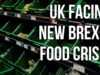 UK Faces New Brexit Food Crisis: New Rules, Higher Costs,