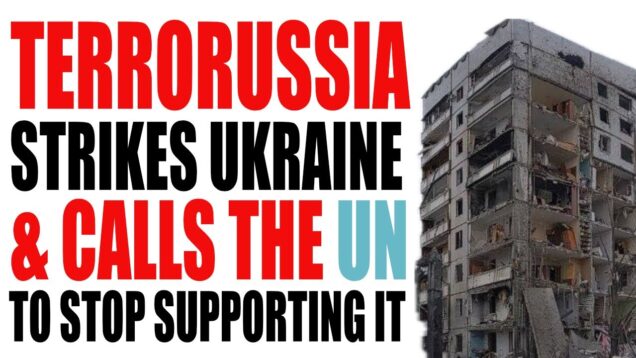 Ukraine Daily Update | Day 699