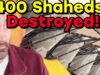 Ukraine SMOKES 400 Russian Shahed Drones at Once!