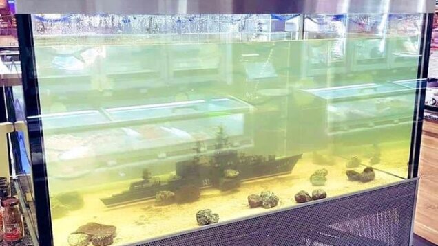 Ukrainian humour is extraordinary. Here, a model of the ‘Moskva’