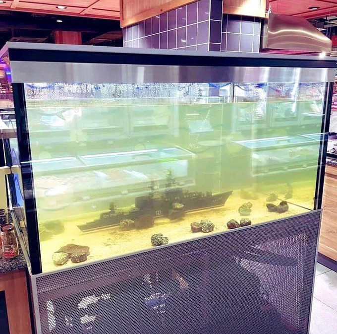 Ukrainian humour is extraordinary. Here, a model of the ‘Moskva’ in a fish tank.