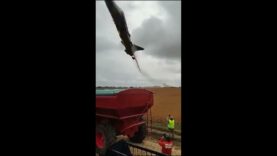 Very Low-Level Ukrainian Su-24 Flypast in Ukraine! Cool Video