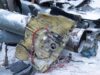 Western-made parts found in North Korean missile downed over Ukraine,