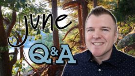 What about Transnistria? – June Q&A