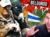 What really happened in Belgorod? | Russian response to the