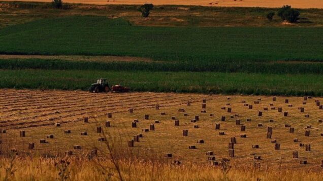Wheat fields are on fire due to Russian rocket shelling.