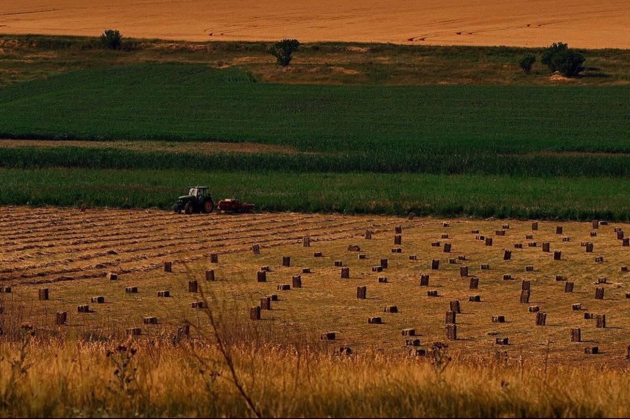 Wheat fields are on fire due to Russian rocket shelling. Konstantin Liberov show