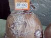 In Kharkov, the price of bread skyrocketed….