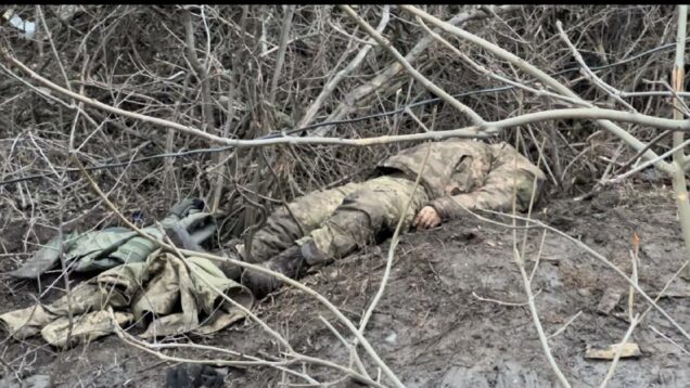 The offensive continues in the Mariupol direction. Part of the