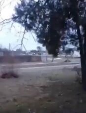 A column of the Russian Armed Forces is heading along