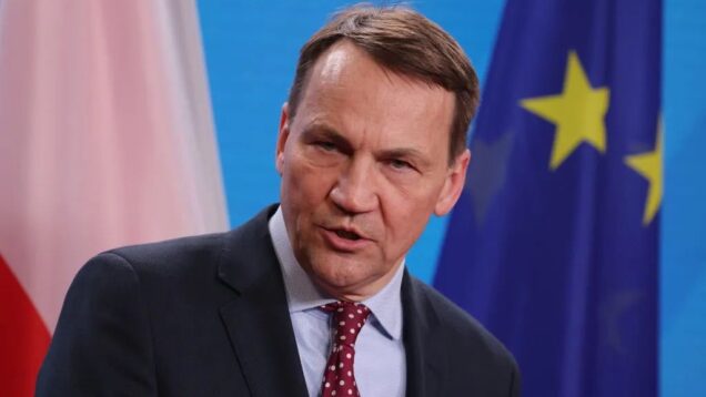 Europe must take responsibility for its security, Polish FM says
