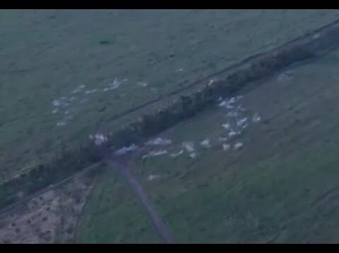 First Footage of Cluster Munitions Used Against Russian Positions Near