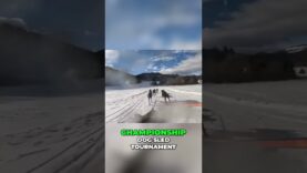 From Champions to Heroes Dog Sledding in Ukraine #aidconvoy #ukrainian