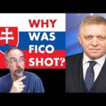 Here's What Happened to Robert Fico