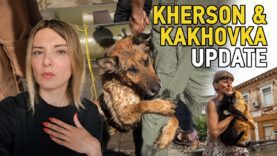 KHERSON & KAKHOVKA FLOODED. ECOCIDE, EVACUATION & RUSSIAN TERRORISM. Vlog