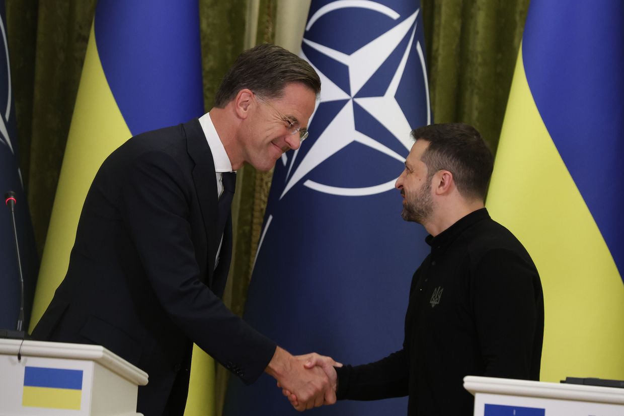 NATO Parliamentary Assembly calls for Ukraine's accession 'as soon as possible'