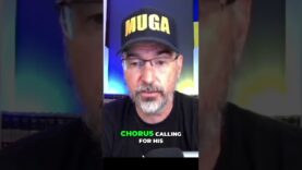 Political Pressure Mounts: Calls for Biden’s Resignation Grow as Senator