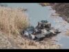 Russia’s Kursk Counterattack Update — New Video Footage