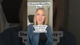 SHE/HE WENT CRAZY in #ukrainianwordoftheday