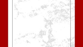 Silicon Curtain Live Stream