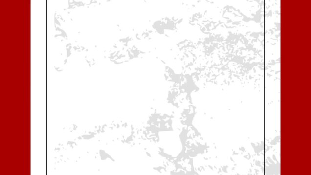 Silicon Curtain Live Stream