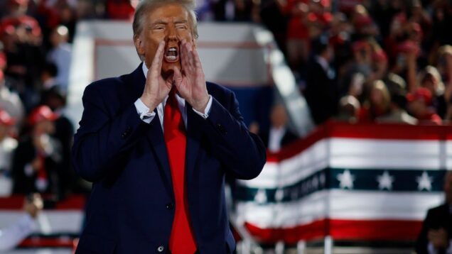 Trump wins key US state of North Carolina