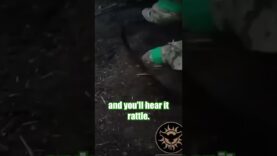 Ukraine Soldier geared out with an AK