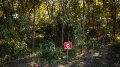 Ukraine expands demining job opportunities for veterans and disabled