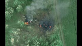 Update on the Invasion of Shebekino, Belgorod — 2S4 Tyulpan