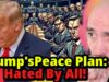 Why Everyone (but Putin) HATES Trumps Peace Plan!