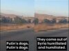 Syrians Mock HUGE Russian Convoy as They Retreat to Port